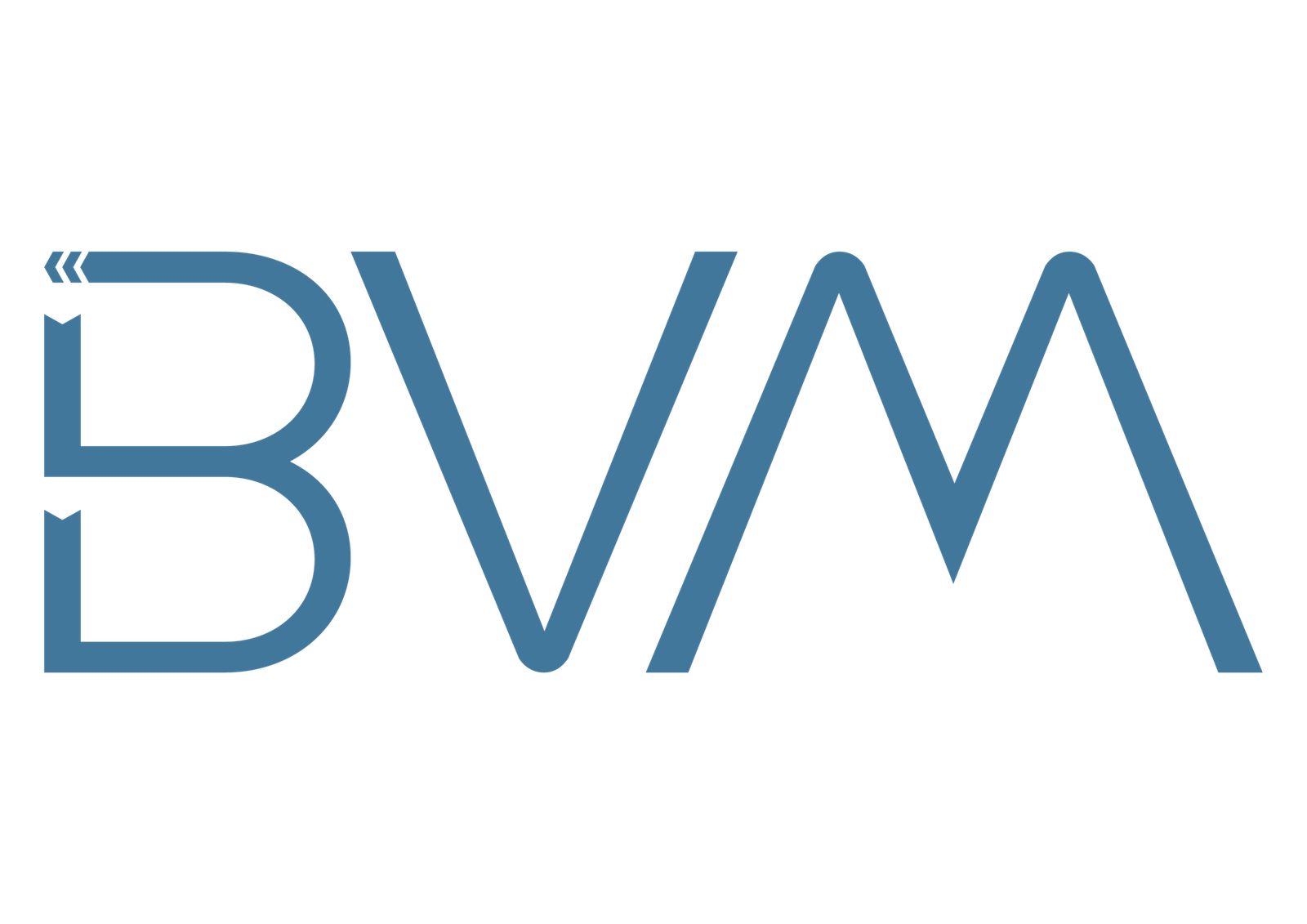 BVM